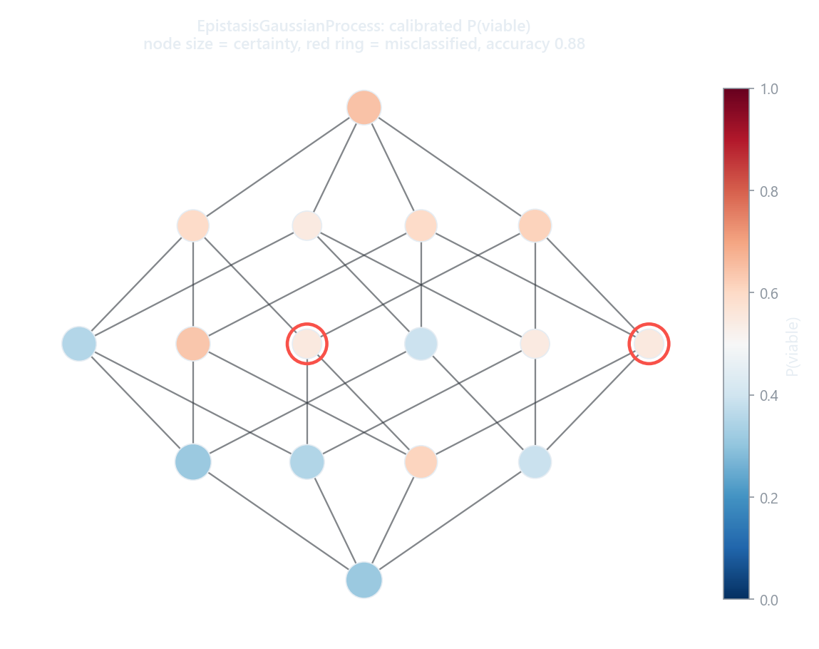 Predicted P(viable) on the genotype graph; node size encodes the classifier's certainty and misclassified genotypes are ringed in red
