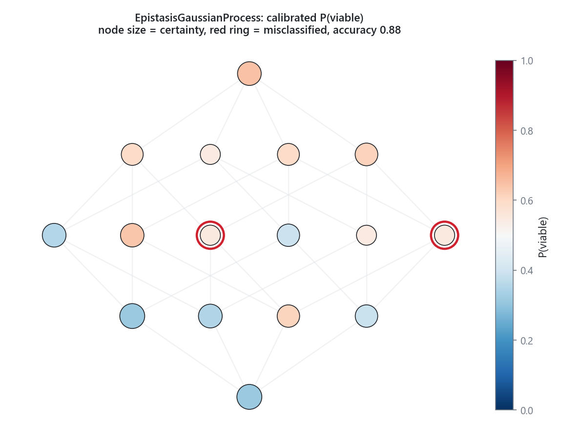 Predicted P(viable) on the genotype graph; node size encodes the classifier's certainty and misclassified genotypes are ringed in red