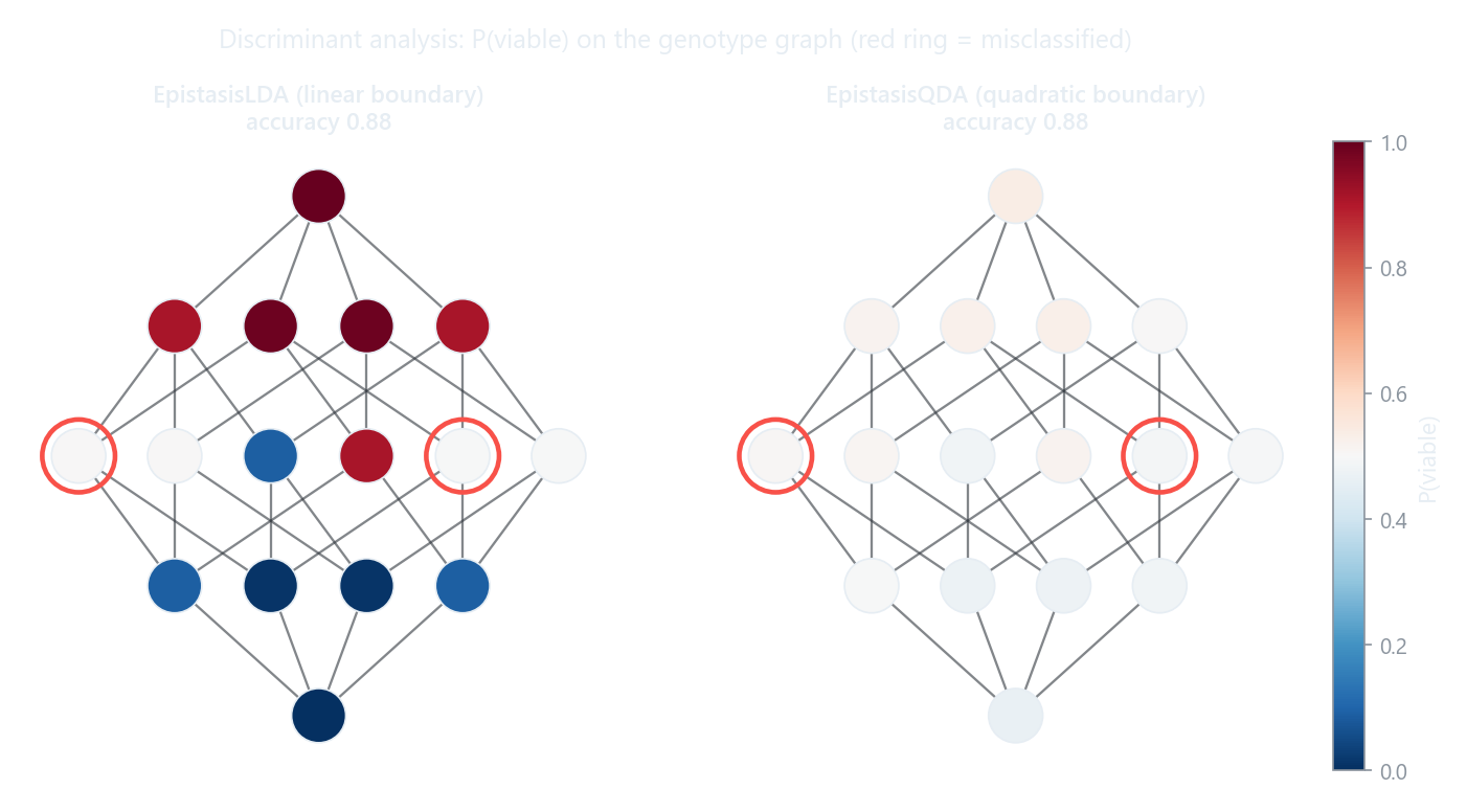 Predicted P(viable) on the genotype graph for LDA (linear boundary) and QDA (quadratic boundary); misclassified genotypes are ringed in red