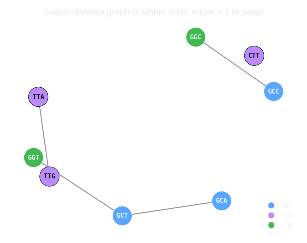 A small codon-distance graph: nodes are codons, edges connect single-nucleotide neighbors