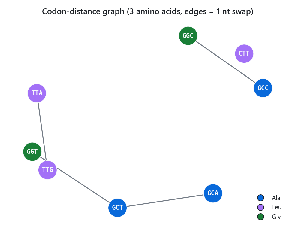 A small codon-distance graph: nodes are codons, edges connect single-nucleotide neighbors