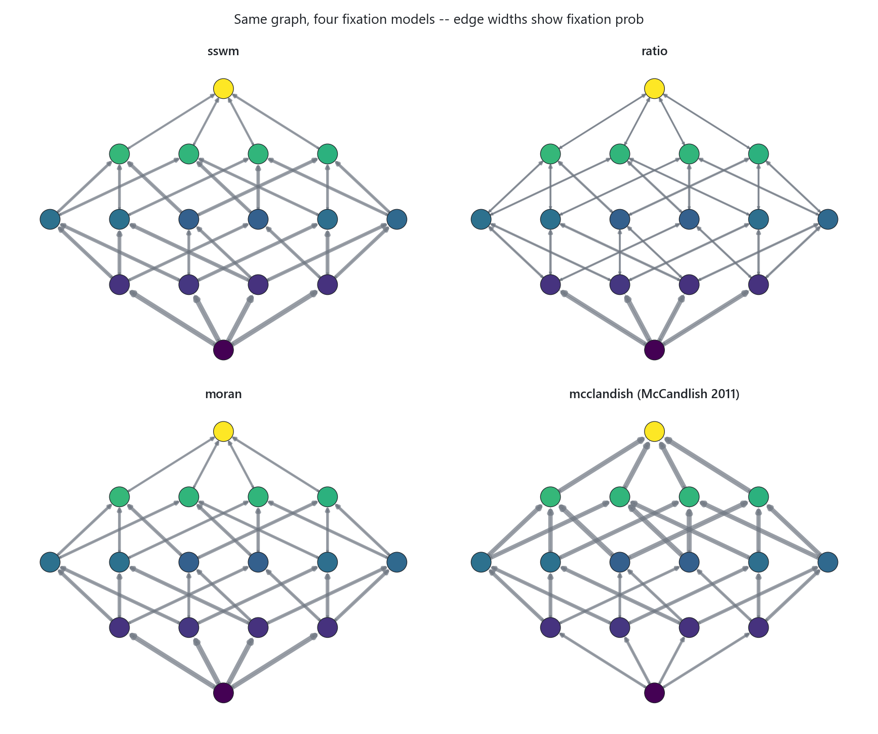 The four fixation models compared as fixation probability versus fitness ratio