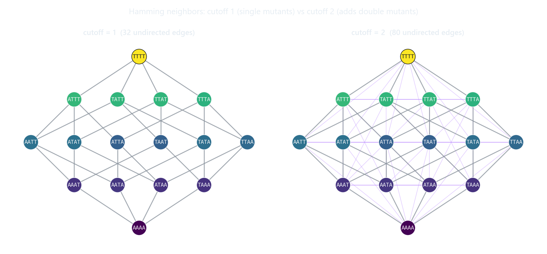 Hamming neighbors on an L=4 map: cutoff 1 connects single mutants, cutoff 2 also connects double mutants