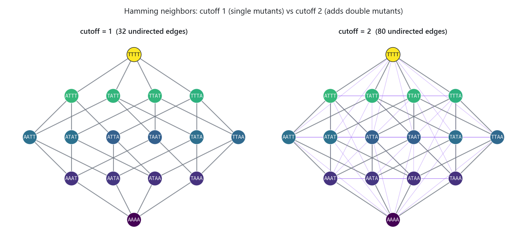 Hamming neighbors on an L=4 map: cutoff 1 connects single mutants, cutoff 2 also connects double mutants