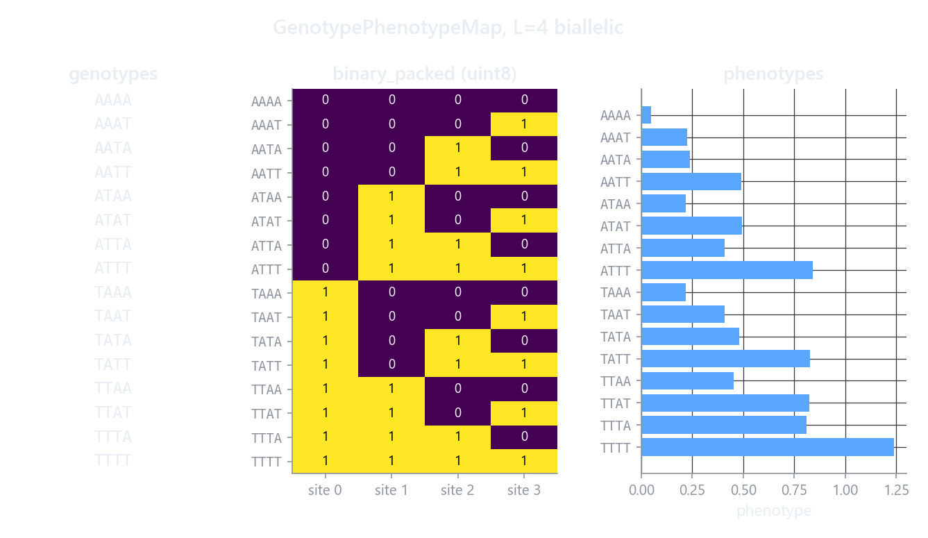 Each genotype string encoded as a row of binary bits, shown as a matrix of filled and empty cells