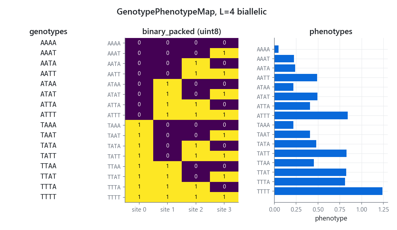 Each genotype string encoded as a row of binary bits, shown as a matrix of filled and empty cells