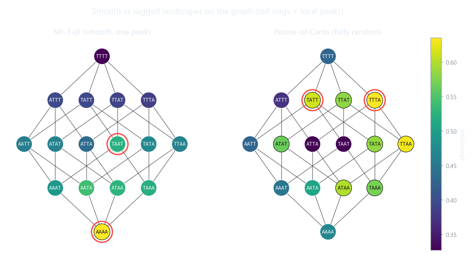 Mount Fuji versus House of Cards drawn as genotype graphs, local peaks ringed in red