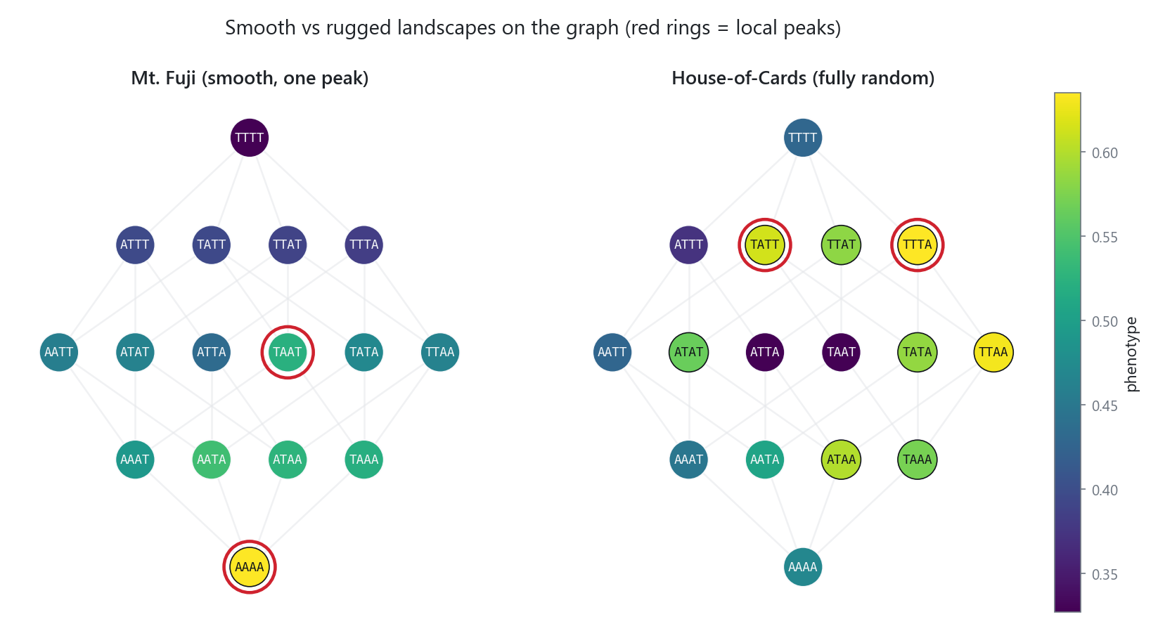 Mount Fuji versus House of Cards drawn as genotype graphs, local peaks ringed in red