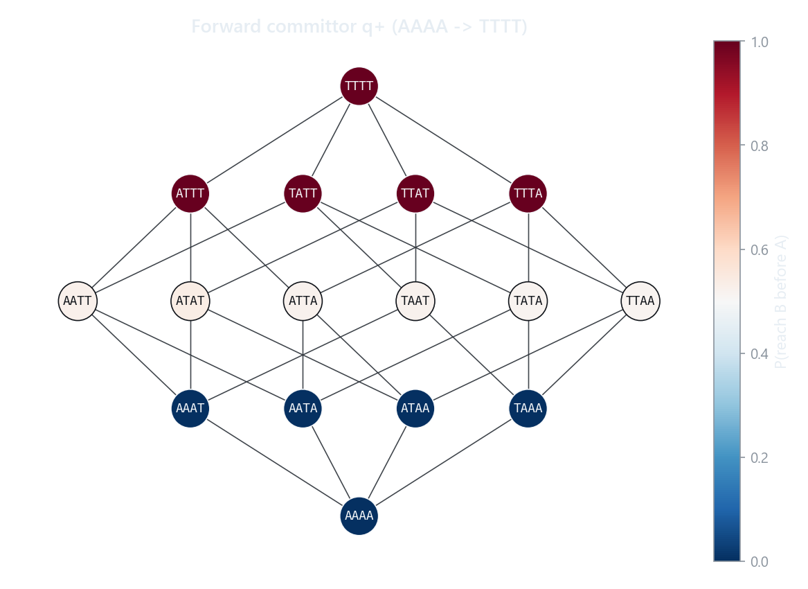 Forward committor drawn on the genotype graph as a gradient from source to target