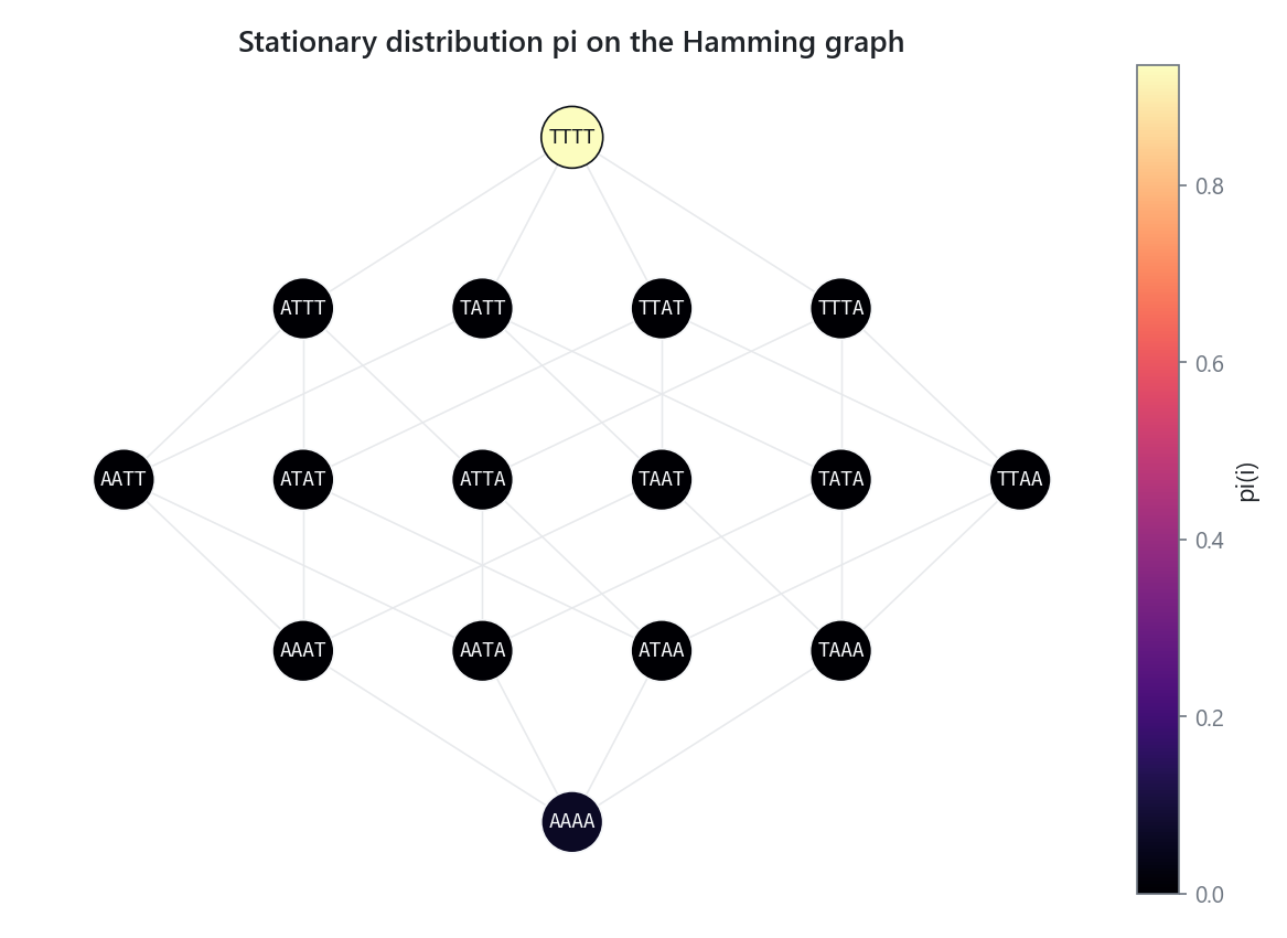 Stationary distribution of the evolutionary Markov chain drawn on the genotype graph